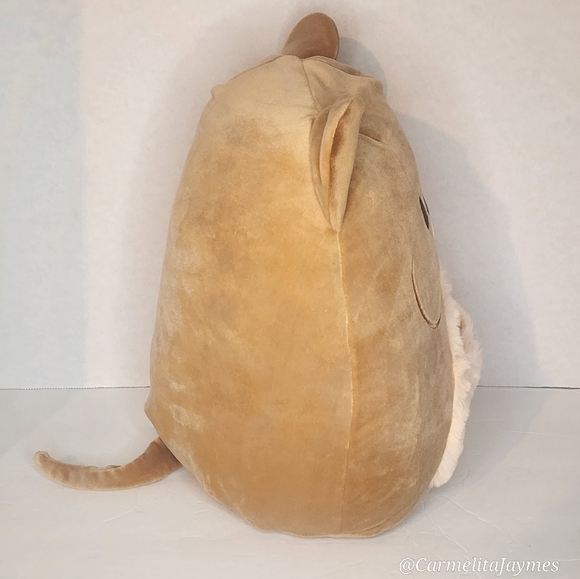 🖤 QUITO 🐻 Select Series Black Tag Quito Original Squishmallow ☆》NWT《☆ - Picture 8 of 10